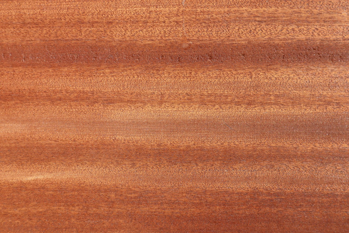 Close-up of oak grain